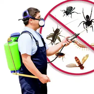 pest control De Kalb